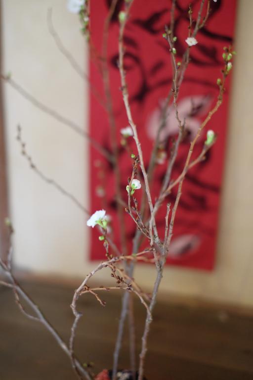Kanazawa 旅音 エクステリア 写真